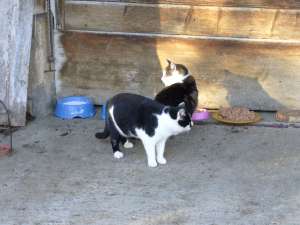 Grosses bild anzeigen 20061026 046.jpg